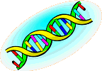 DNA strand