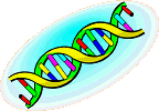 dna